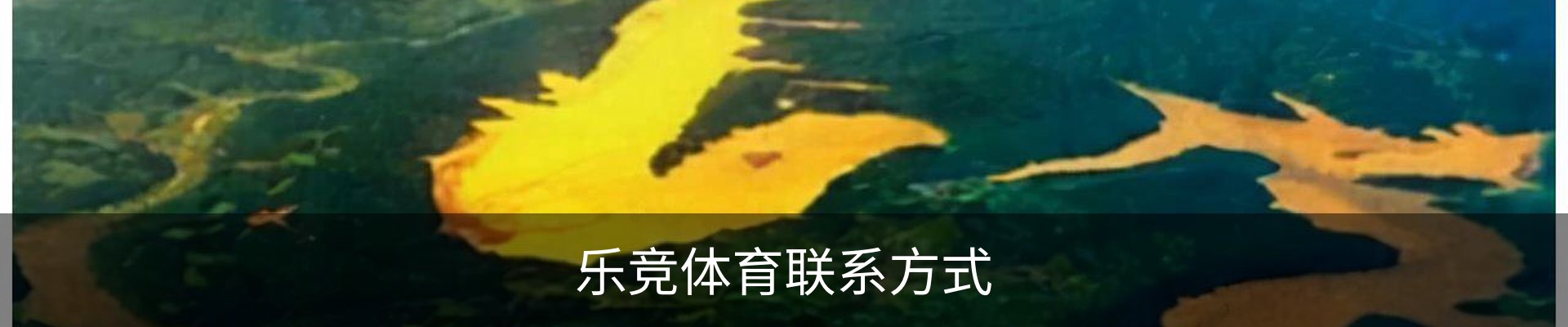 乐竞体育联系方式